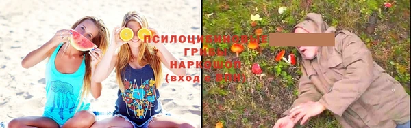 ALPHA-PVP Алексеевка